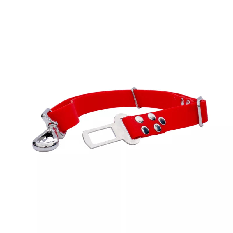 Ceinture Biothane