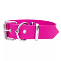 Collier Biothane 15kg et plus