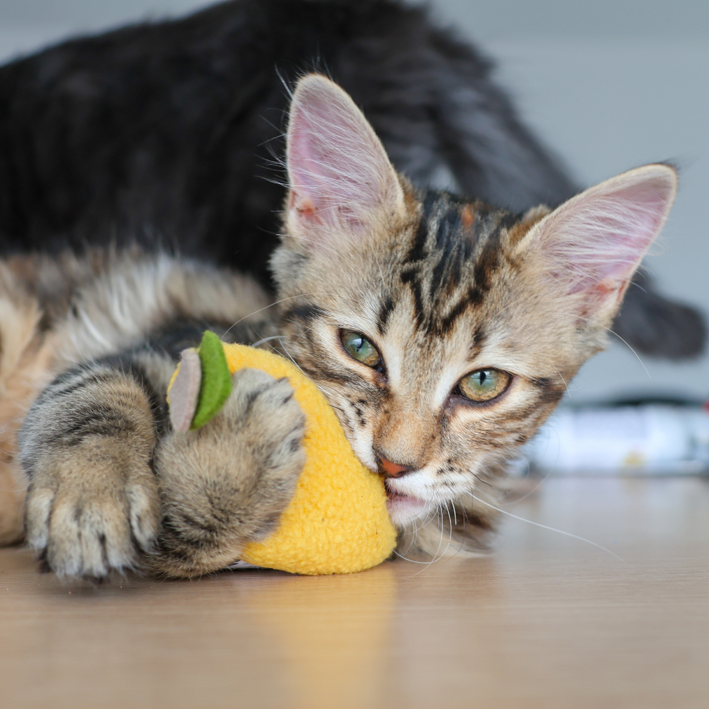 Pomme Citron