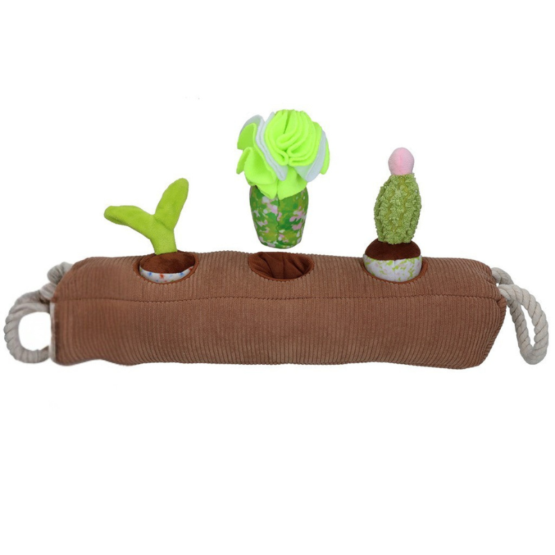 Jouet de Fouille Jardin