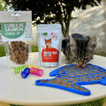 Kit Chaton