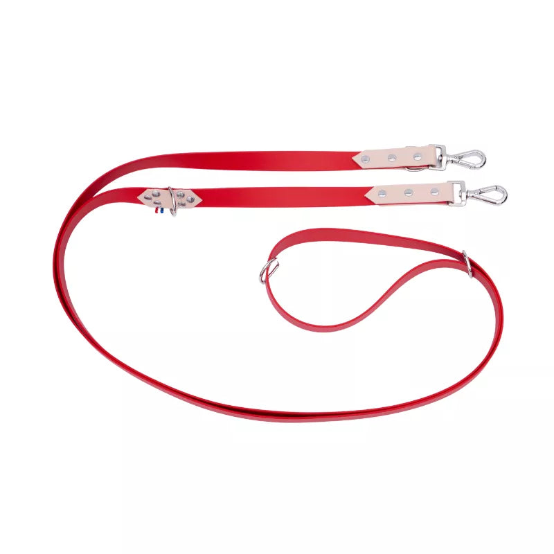 Laisse Biothane