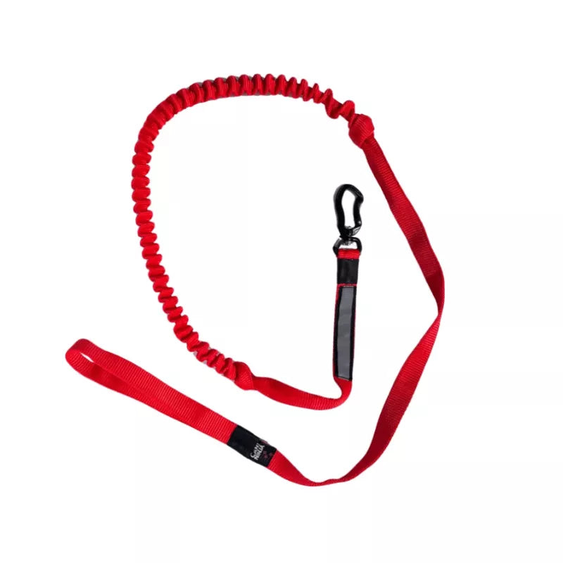 Ligne Canicross Petit chien