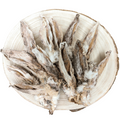 Oreilles de Lapin AVEC Poils