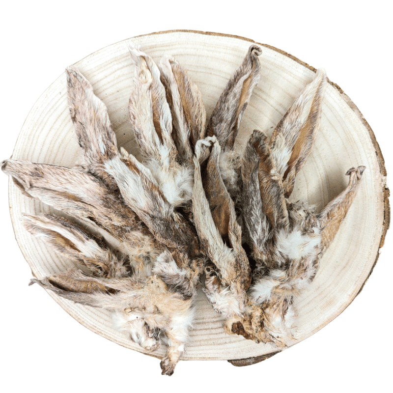 Oreilles de Lapin AVEC Poils