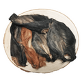 Oreilles de Boeuf avec Poils