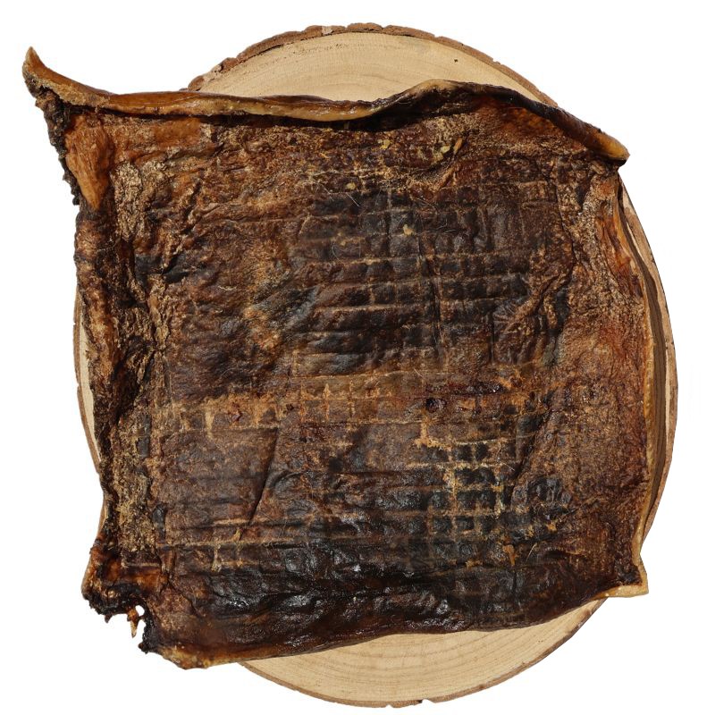 Plaque de sanglier XXL