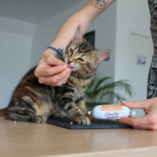 Sauciflair de Poulet 80g