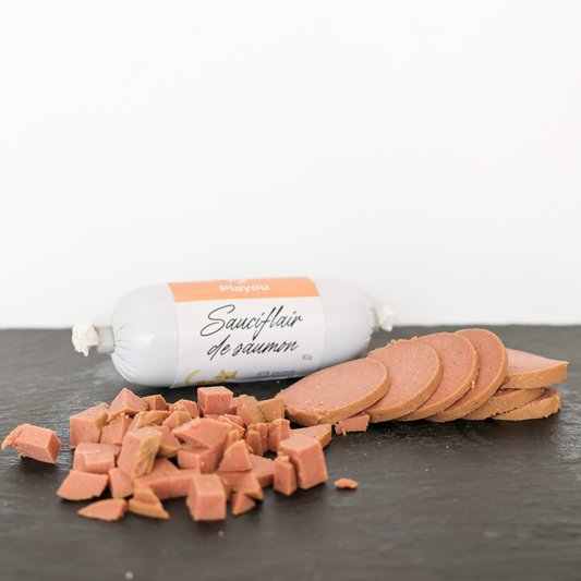 Sauciflair de Saumon 80g