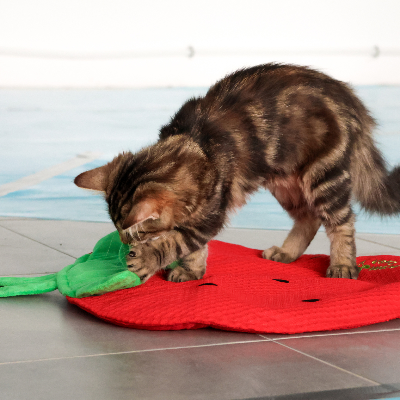 Tapis de jeu fraise