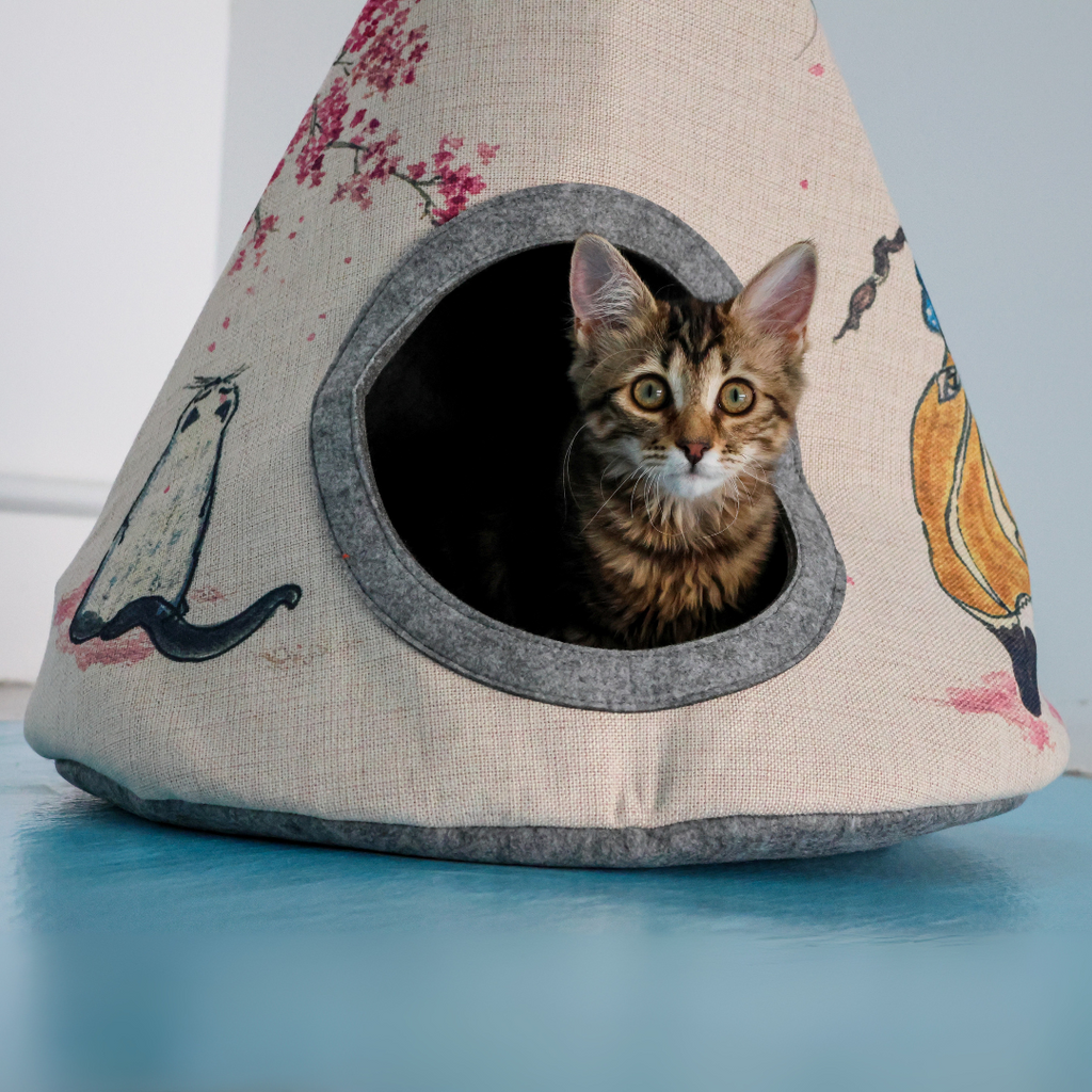 Tipi japonais