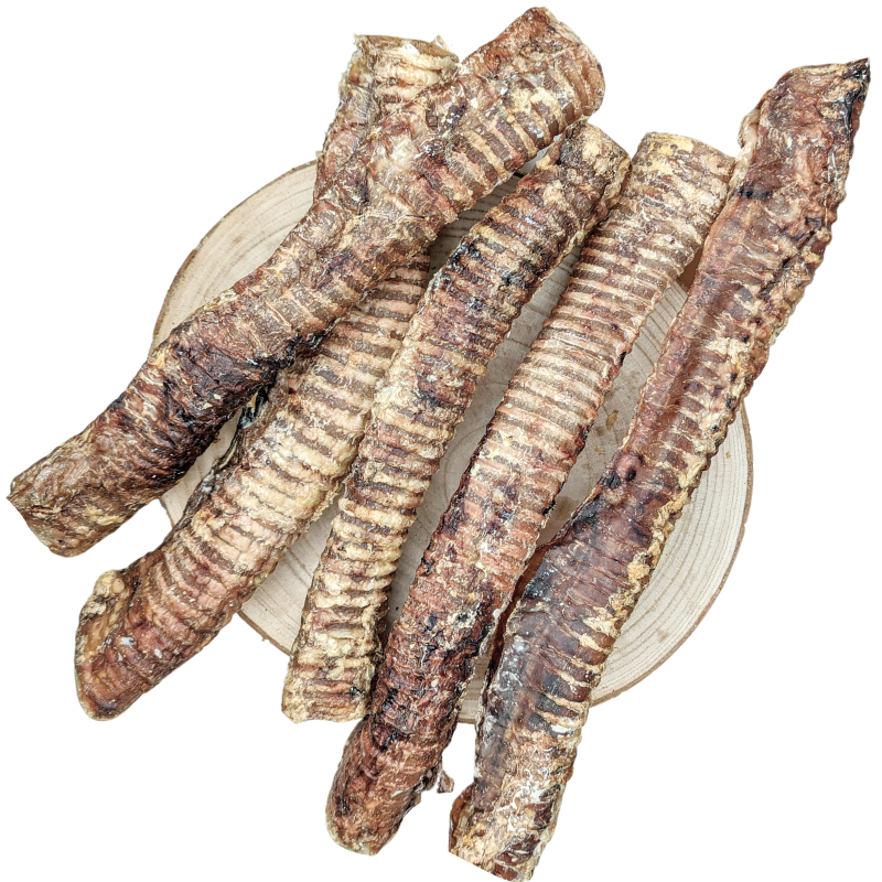 Trachees de Boeuf 35cm 500g